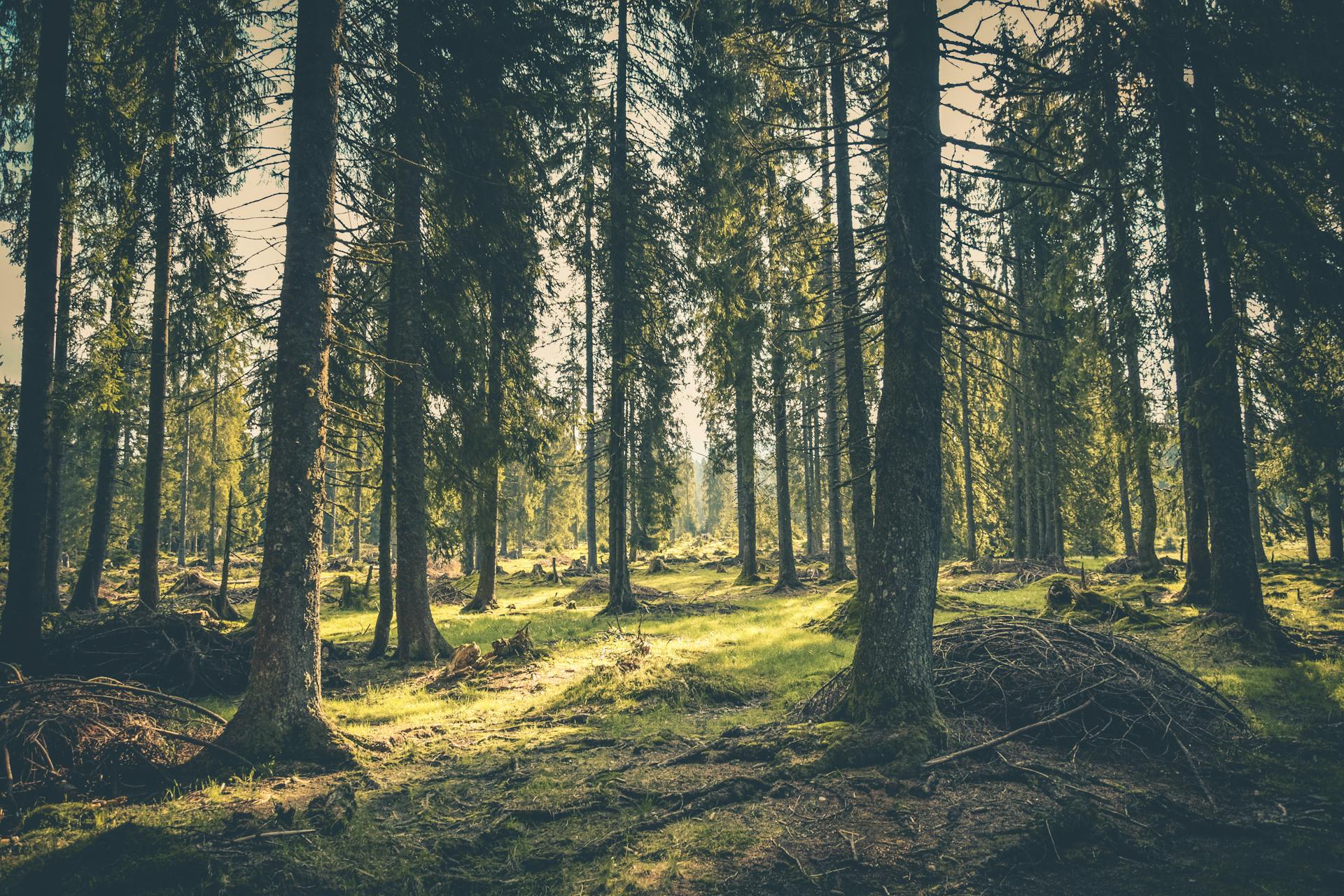 Sustainability Initiatives