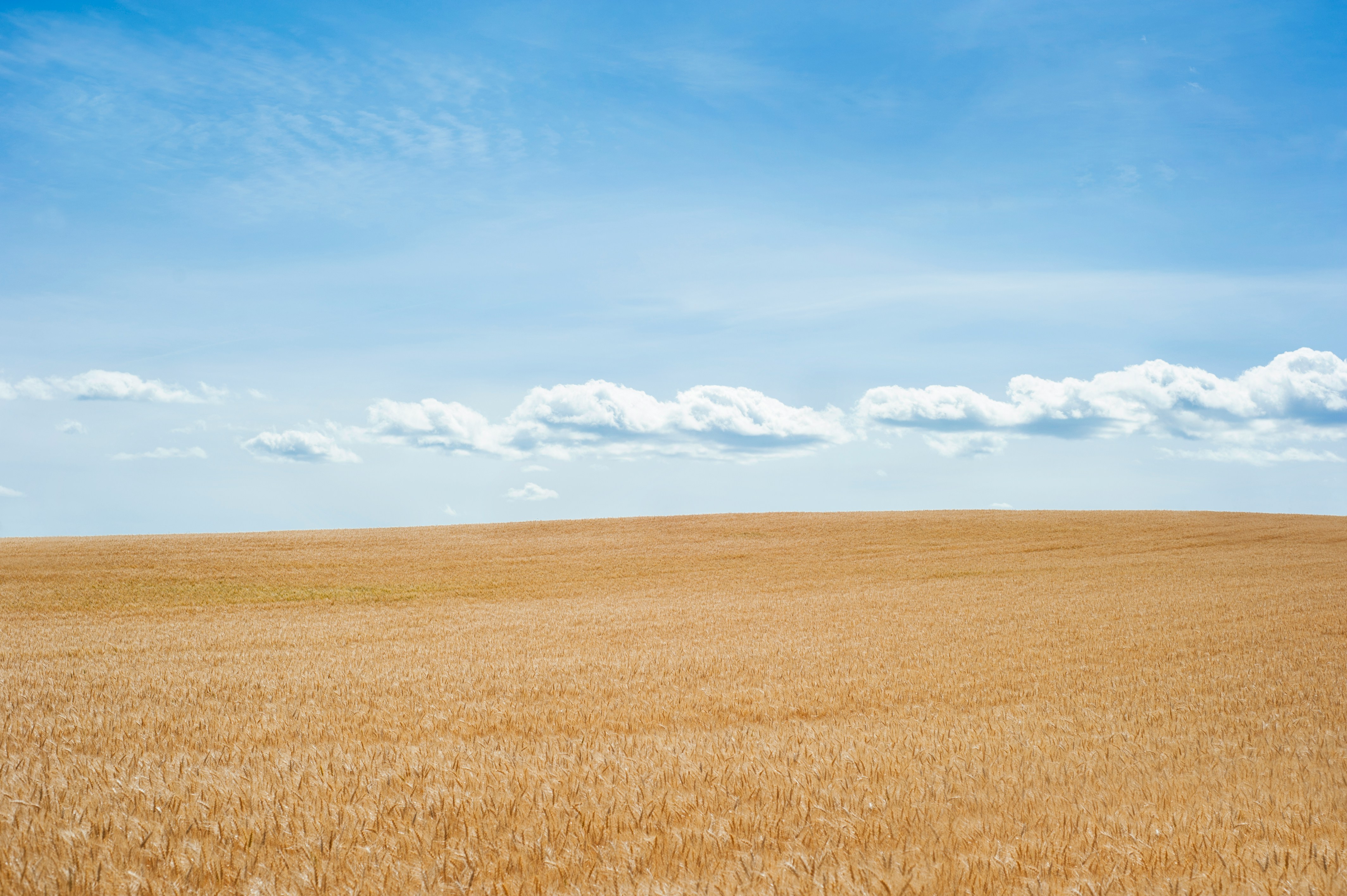 American Prairie Landscape